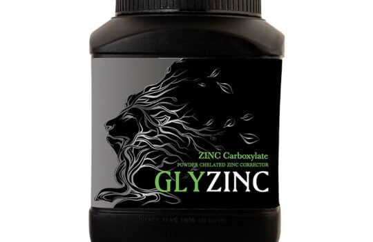 (Glyzinc): گلایزینک