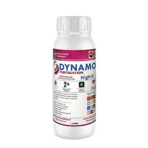 (Dynamo HIGH K): داینامو