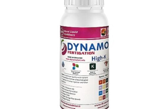 (Dynamo HIGH K): داینامو