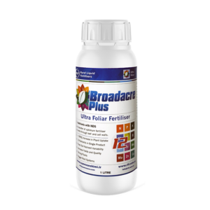 (Broadacre): برادیکر