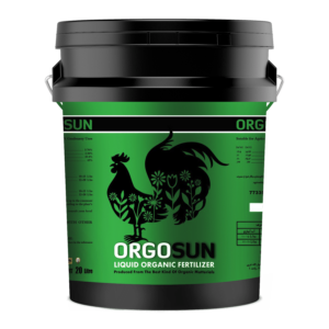 (Orgosun): اورگوسان