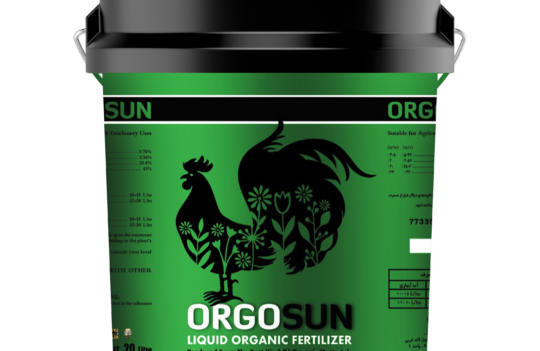 (Orgosun): اورگوسان