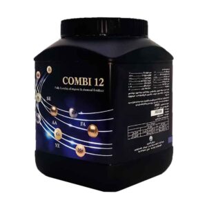 (COMBI 12): کمبی