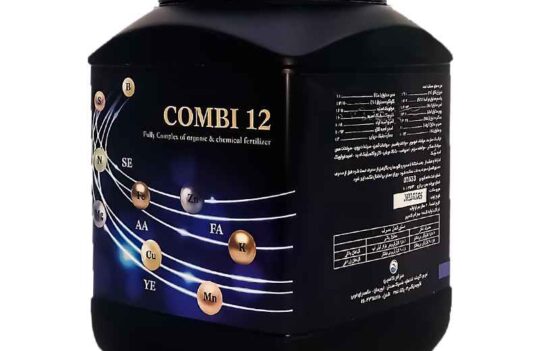 (COMBI 12): کمبی